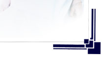 Bridal Gown Preservation Co, Wakefield, wedding dress cleaning & boxing